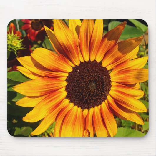 Sonnenblume Mousepad (Vorne)