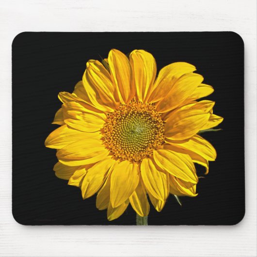Sonnenblume mpcnm mousepad (Vorne)