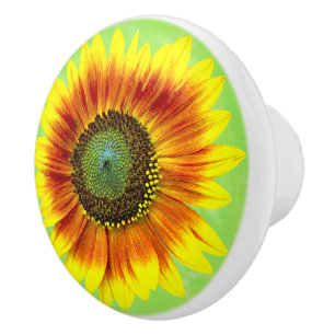 Sonnenblume-mutige gelbe und grüne mit BlumenBlum Keramikknauf