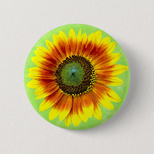 Sonnenblume-mutige gelbe und grüne mit BlumenBlume Button
