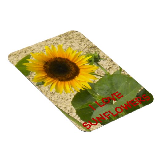Sonnenblume N Stucco Kühlschrankmagnet Magnet (Rechte Seite)