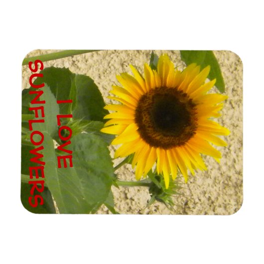 Sonnenblume N Stucco Kühlschrankmagnet Magnet (Horizontal)