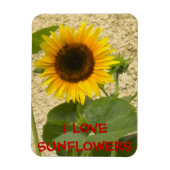 Sonnenblume N Stucco Kühlschrankmagnet Magnet (Vertikal)