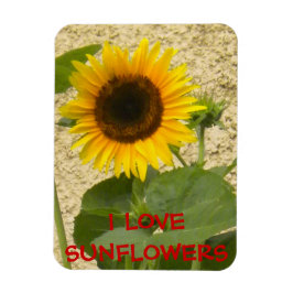 Sonnenblume N Stucco Kühlschrankmagnet Magnet