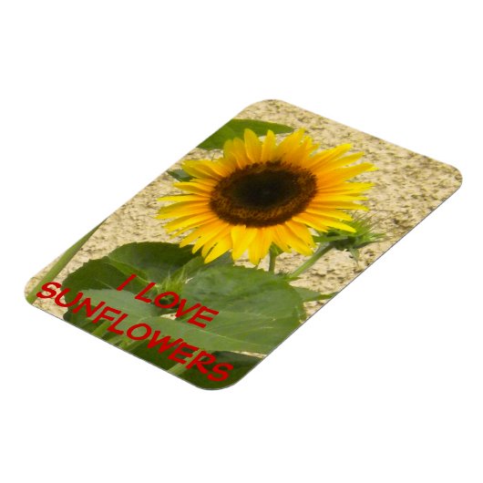 Sonnenblume N Stucco Kühlschrankmagnet Magnet (Linke Seite)