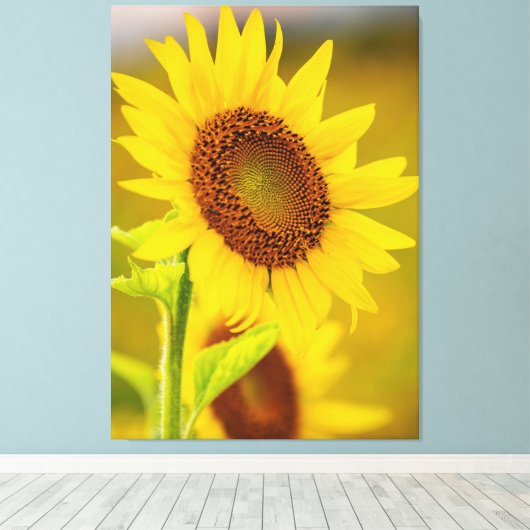 Sonnenblume Nah Leinwanddruck (Insitu (Holzboden))