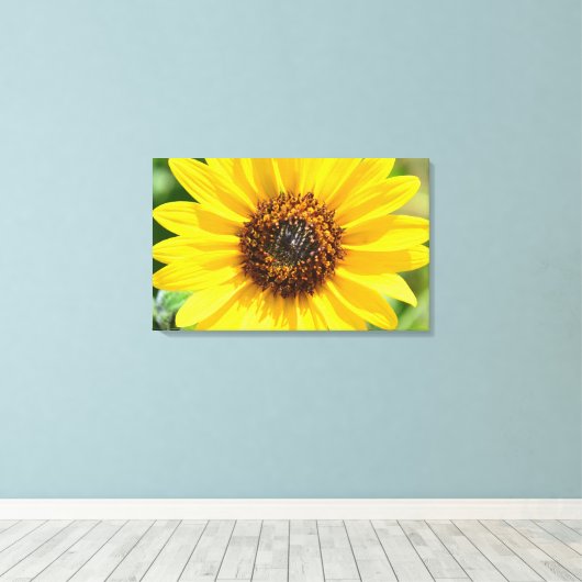 Sonnenblume Nah Up Leinwand (Insitu (Holzboden))