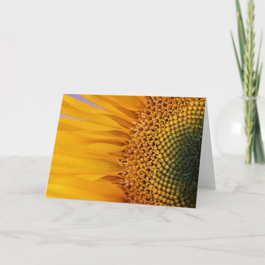 Sonnenblume-Nahaufnahme-Gruß-Karte (freier Raum Karte (Vorderseite)