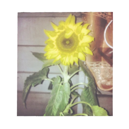 Sonnenblume neun am Nachmittag Notizblock (Vorderseite)