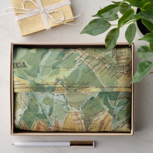 Sonnenblume Nordamerikanische Karte Decoupage Seidenpapier (Geschenk)