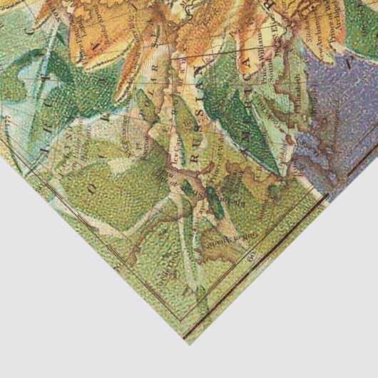 Sonnenblume Nordamerikanische Karte Decoupage Seidenpapier (Detail)