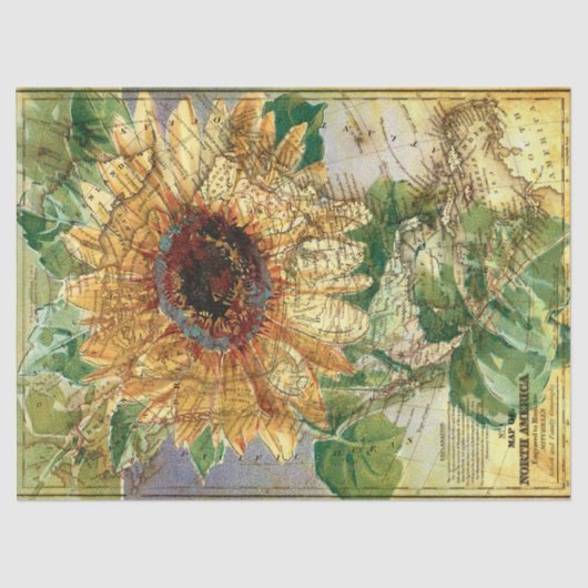 Sonnenblume Nordamerikanische Karte Decoupage Seidenpapier (Vorderseite)