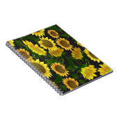 Sonnenblume Notizblock (Rechte Seite)