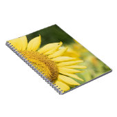 Sonnenblume Notizblock (Rechte Seite)