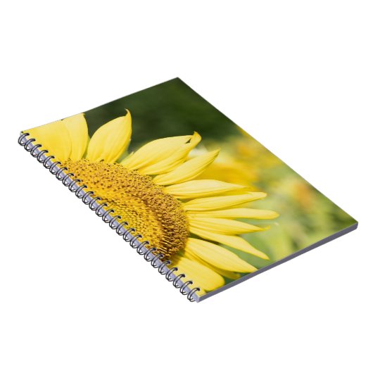 Sonnenblume Notizblock (Rechte Seite)