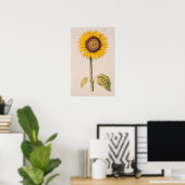 Sonnenblume oder Helianthus Poster (Heimbüro)