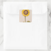 Sonnenblume oder Helianthus Quadratischer Aufkleber (Tasche)
