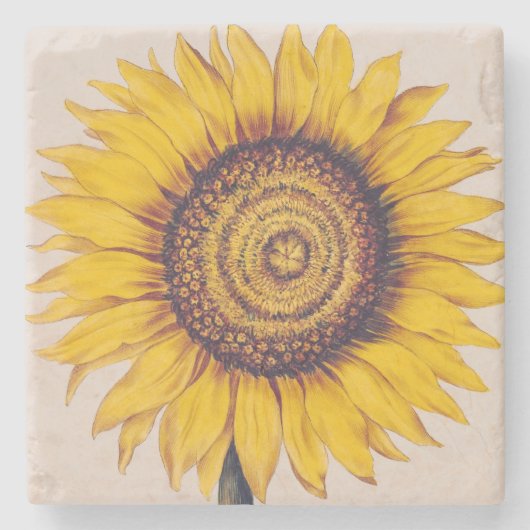 Sonnenblume oder Helianthus Steinuntersetzer (Vorderseite)