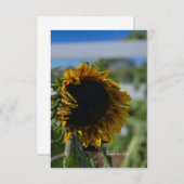 Sonnenblume öffnen mitteilungskarte (Vorne/Hinten)