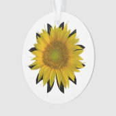 Sonnenblume Ornament (Vorderseite)