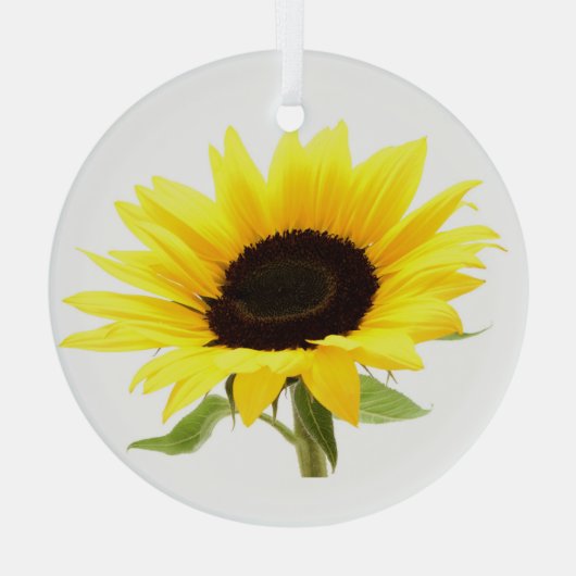 Sonnenblume Ornament Aus Glas (Rückseite)
