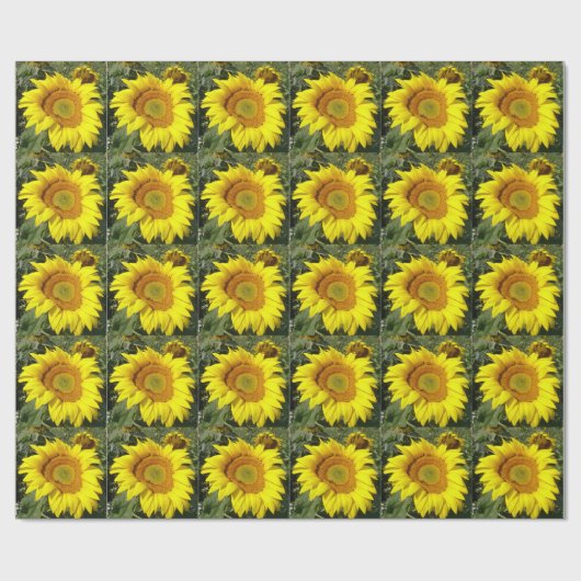 Sonnenblume-Packpapier Geschenkpapier (Flach)