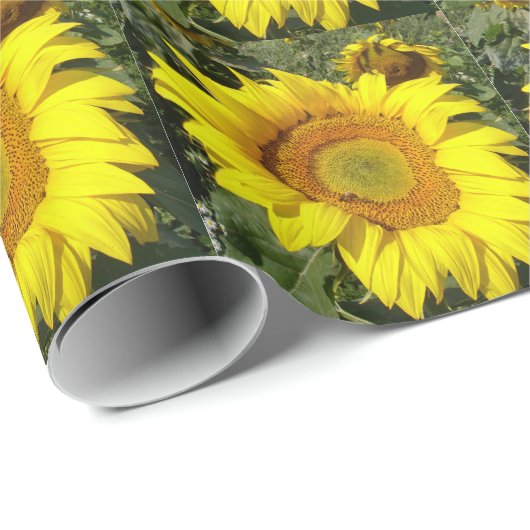 Sonnenblume-Packpapier Geschenkpapier (Rolleneckpunkt)