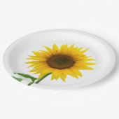 Sonnenblume Pappteller (Schrägansicht)