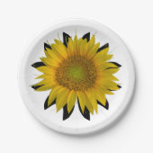 Sonnenblume Pappteller (Vorderseite)