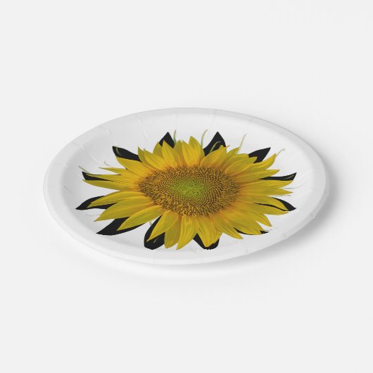 Sonnenblume Pappteller (Schrägansicht)