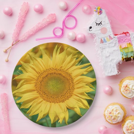 Sonnenblume Pappteller (Party)