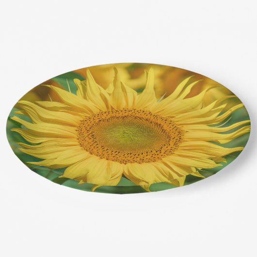Sonnenblume Pappteller (Schrägansicht)