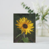 Sonnenblume Perfect Postcard Postkarte (Stehend Vorderseite)