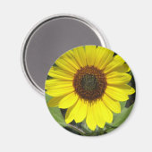 Sonnenblume Pflanze Rundmagnet Magnet (Vorderseite/Rückseite)