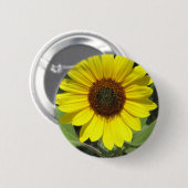 Sonnenblume-Pflanzen-runder Knopf Button (Vorne & Hinten)