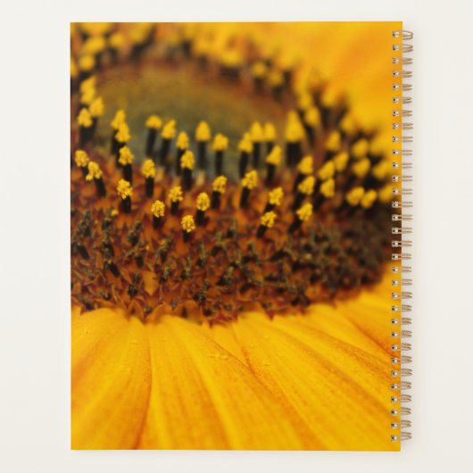 Sonnenblume Planer (Rückseite)