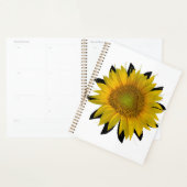 Sonnenblume Planer (Anzeige)