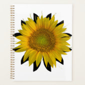 Sonnenblume Planer (Vorderseite)