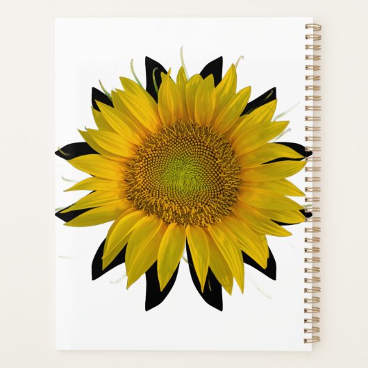 Sonnenblume Planer (Rückseite)