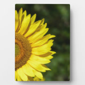 Sonnenblume Plaque Fotoplatte (Vorderseite)