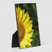Sonnenblume Plaque Fotoplatte (Seite)