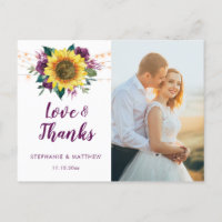 Sonnenblume Plum Lila Rose Leuchten Foto Vielen Da