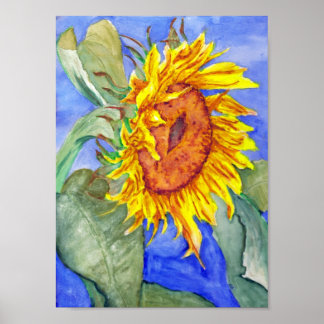 Sonnenblume Poster