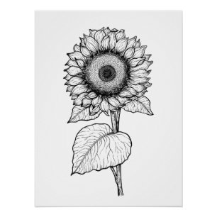 Sonnenblume Poster