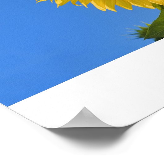 Sonnenblume Poster (Ecke)