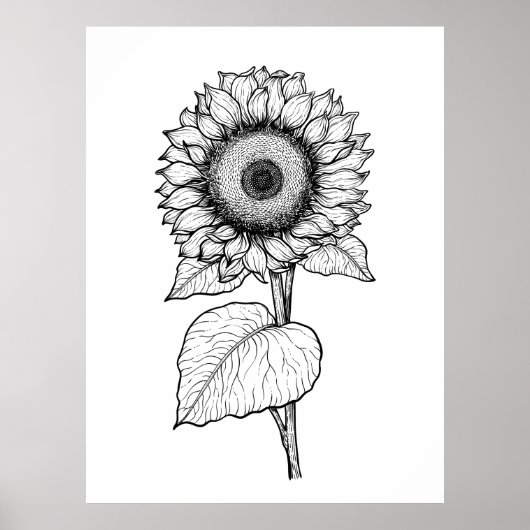 Sonnenblume Poster (Vorne)