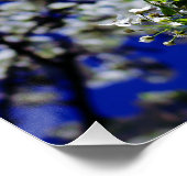 Sonnenblume Poster (Ecke)