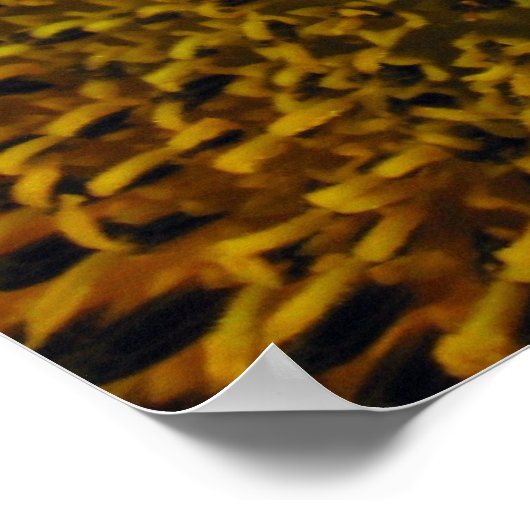 Sonnenblume Poster (Ecke)