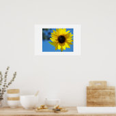 Sonnenblume Poster (Küche)
