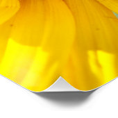 Sonnenblume Poster (Ecke)